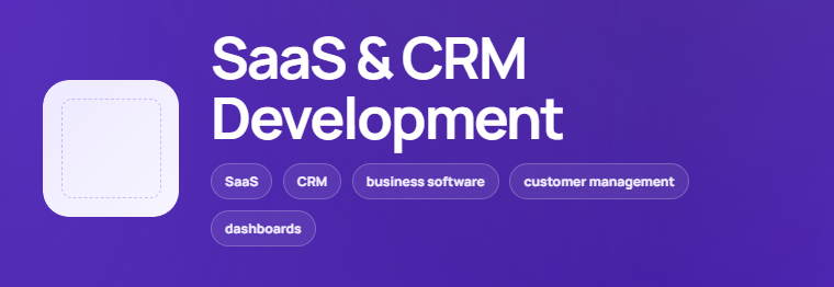 SaaS & CRM Development